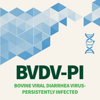 Bovine Viral Diarrhea Virus - Persistently Infected (BVDV-PI)