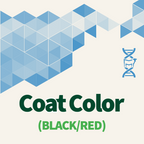 Color Coat (Black/Red)